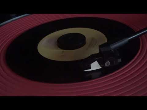 the secrets  the boy next door  45 one hit wonder