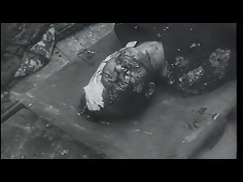 Your Wonderful Year 1947 - Flikbaks 1996