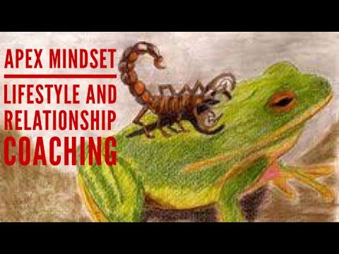 Scorpion and the Frog