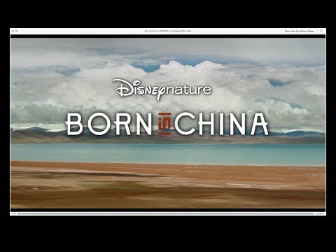 Born In China - DisneyNature