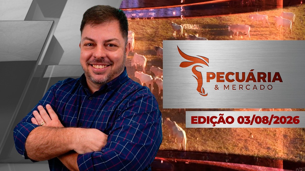 Arroba do boi segue com preços firmes , mas agora a atenção se volta para o mês de Setembro