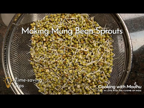 Image of Sprouting Mung Beans