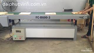 BĂNG TẢI TIẾP PHÔI CHO MÁY BÀO (bàn nâng hạ bằng điện)