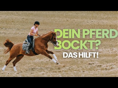 Was tun bei einem bockenden Pferd? Tipps gegen Bocksprünge vom Profi – Ingrid Klimke erklärt