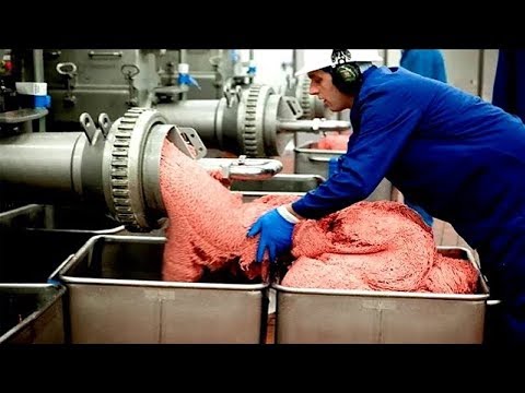 Amazing Food Processing Machine 2018 Video