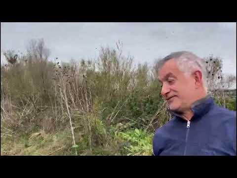 Paso del Sordo - Florida 21/08/2021