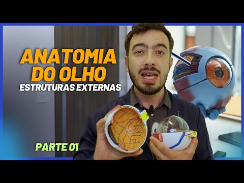 ANATOMY OF THE EYE [PART 1] | External Structures