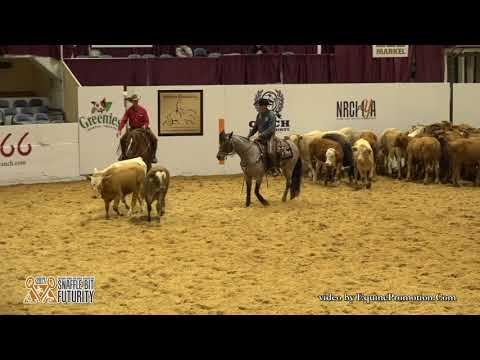 Plain Catty ridden by Jake D. Gorrell  - 2017 Snaffle Bit Futurity (Herd Work, Open Finals)