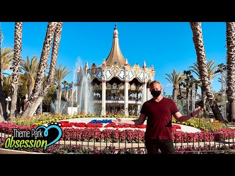 image-How old do you have to be to go to Great America alone?