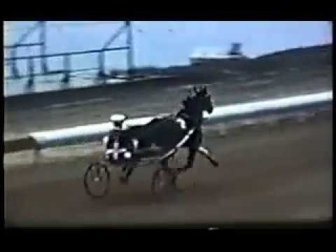 1957 DuQuoin State Fair HICKORY SMOKE Hambletonian Race Off John Simpson