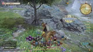 FF14