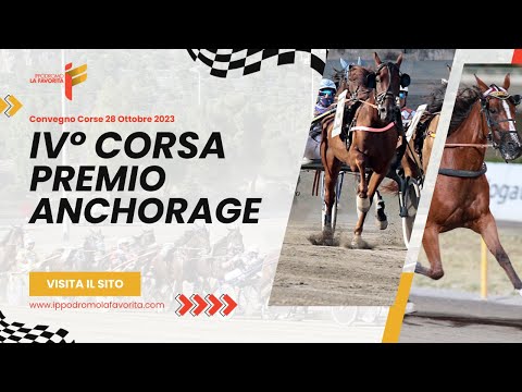 IV Corsa del 28 Ottobre 2023 - 3 Anni - Metri 2000