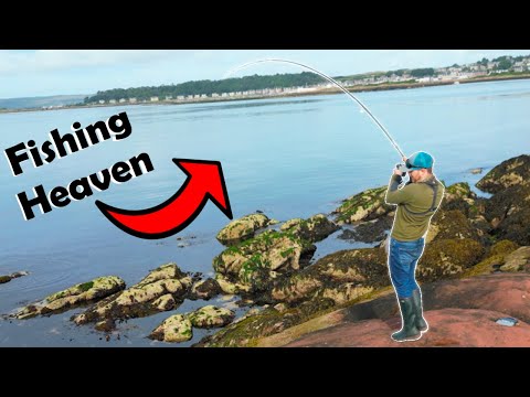 A Fish Every Cast! The BEST Pollock Fishing I've Ever Had - West Coast of Scotland