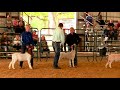 Hunt County Fair & Livestock Show