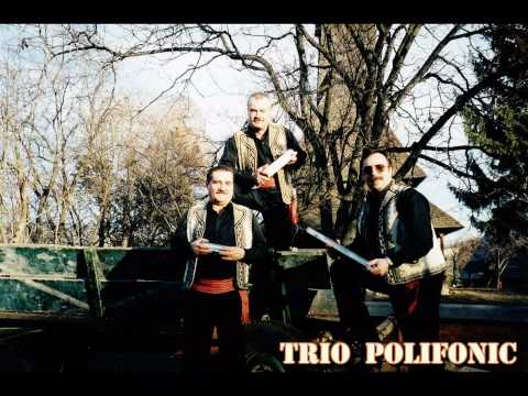 Trio Polifonic - Du-ma, dorule, du-ma
