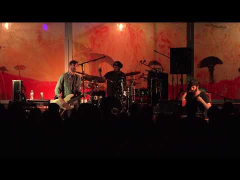 Octave Cat - 4K - 06.01.17 - Beardfest 2017 - Full Set