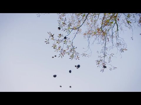 Worlds Sneakiest Animals 2of3 The Hunger Game 1080p