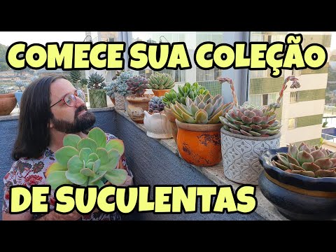 10 easy-to-grow SUCCULENTS for your COLLECTION