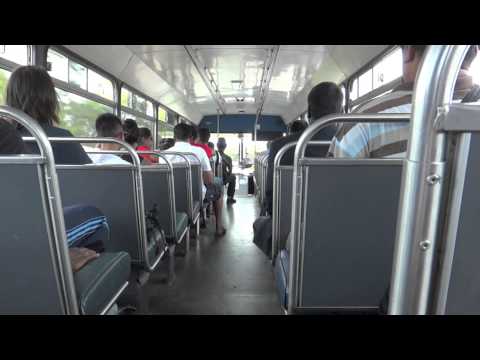 Transdev NSW M/O 911 - Hino RG197K (Allison/Custom Coaches 200)