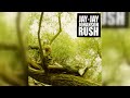 Jay-Jay Johanson - Rush (Downtempo, Synth-pop, Disco) (2005)