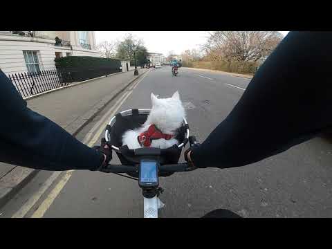 Must. Get. In. Front.