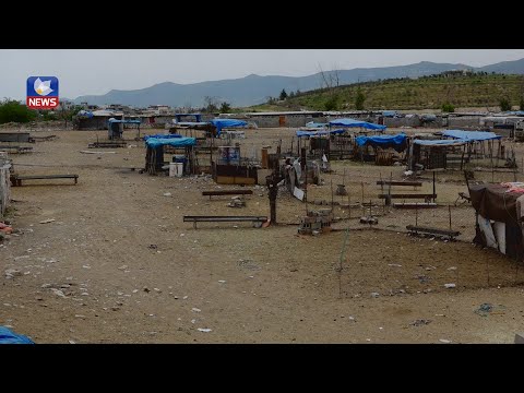 بەڤیدیۆ.. مەیدانێکی نوێی کڕین و فرۆشتنی ئاژەڵان لەسەر ڕووبەری ٨٠ دۆنم زەوی دروست دەکرێت