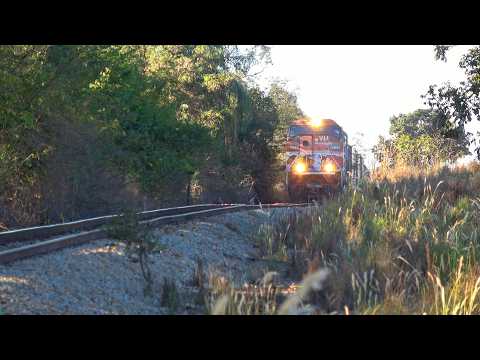 AS IMENSAS SD70 VÊM VOANDO! TREM PASSA BUZINANDO MUITO EM JAPARAÍBA-MG