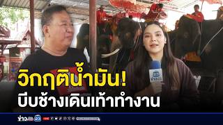 วิกฤติน้ำมันกระทบ 