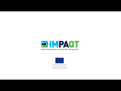 IMPAQT Project Video