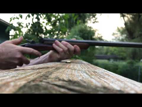 1852 flobert parlor rifle.