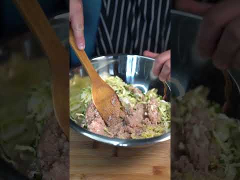 Pan-Fried Chicken Gyoza