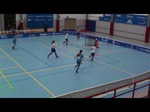 Nibacos T12 - Blue Fox