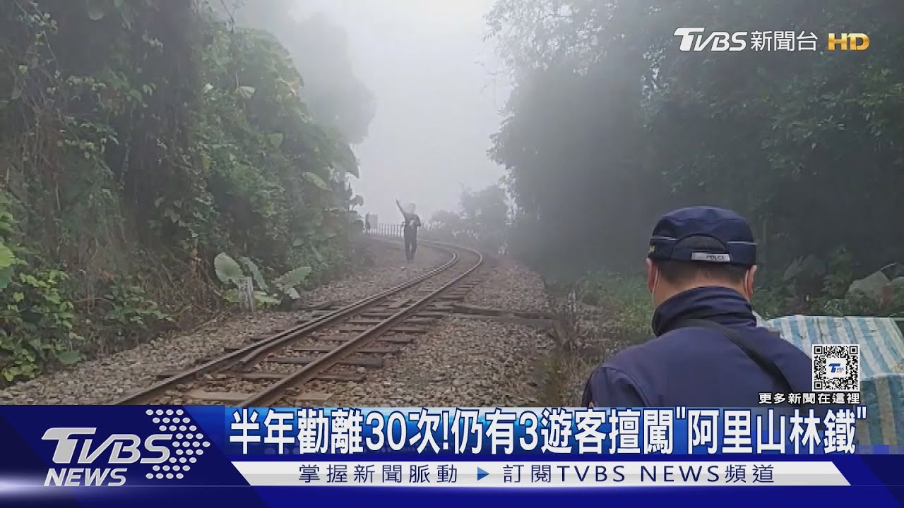 半年勸離30次!仍有3遊客擅闖「阿里山林鐵」 恐吞5萬元罰單