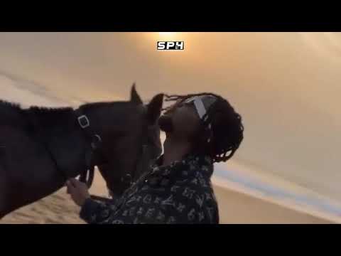 clip officiel sethlo feat Willy baby 2023 bileive