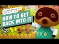 Animal Crossing: New Horizons - How to Get Back Into It Before New DLC