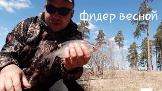 Отчет о рыбалке озеро исетское