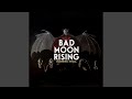 Bad Moon Rising (Cover) (feat. Peter Dreimanis)