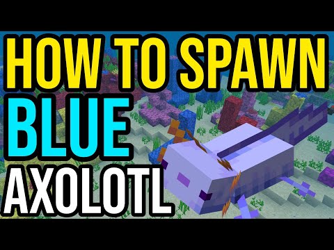 How To Spawn Blue Axolotl In Minecraft PS4/Xbox/PE
