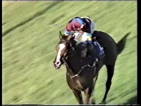 1991 Stradbroke Hcp