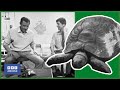 1967 FRED The TORTOISE Is REALLY A GIRL Blue Peter Animal Magic BBC Archive