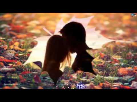 Dường như - Diệu Hiền