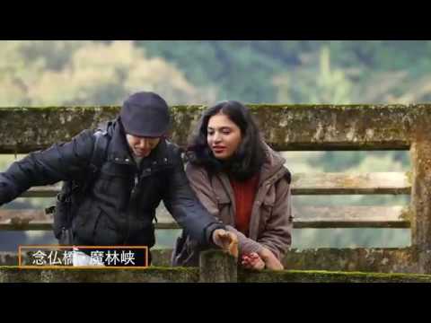 九州 大分 中津 耶馬渓 自然 観光