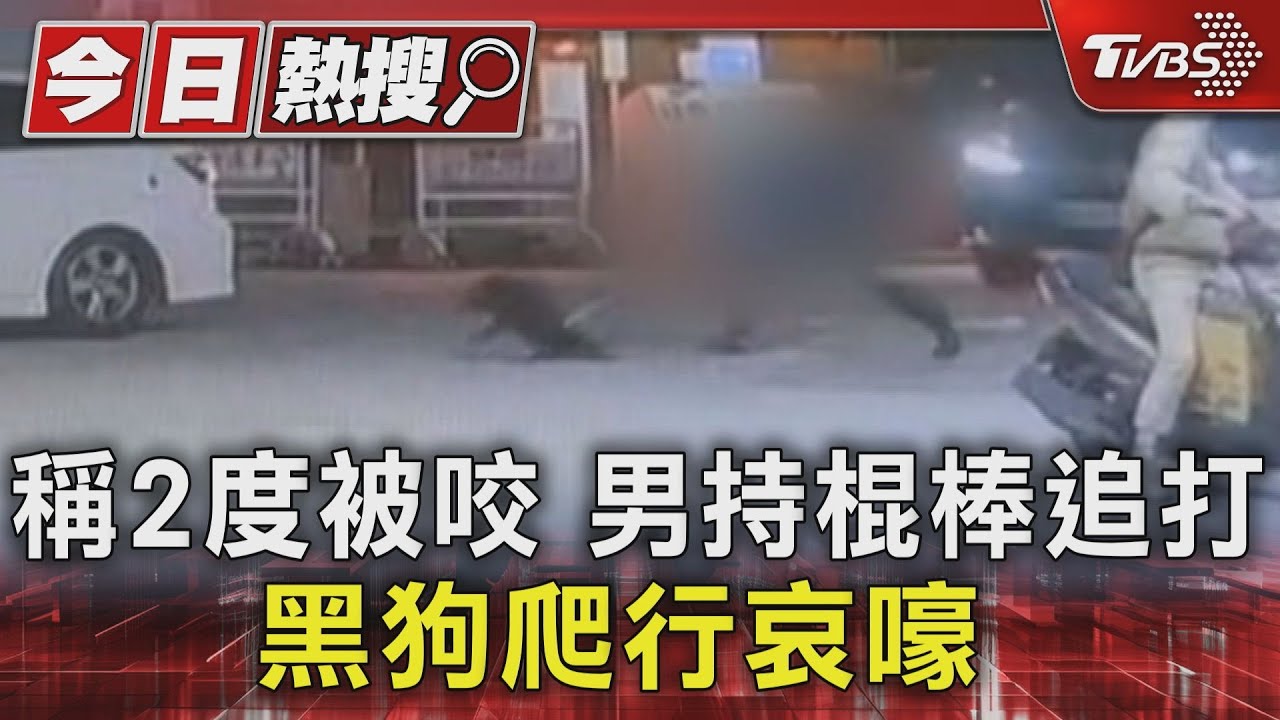稱2度被咬 男持棍棒追打黑狗爬行哀嚎