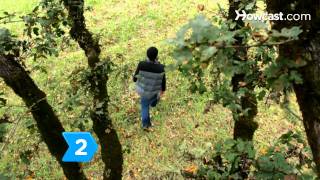 How to Forecast Weather without Any Instruments