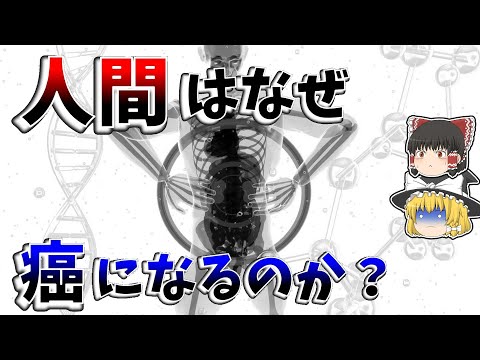 アルデオティス・コリ