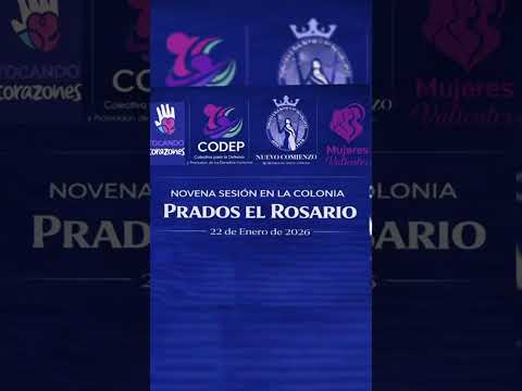 Artesanía con toquilla, Colonia Prados el Rosario, San José de Iturbide, Guanajuato. Novena sesión.