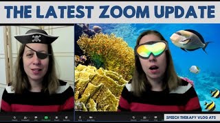 3 Features from the Latest Zoom Update