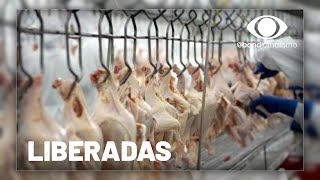 Miniatura do vídeo