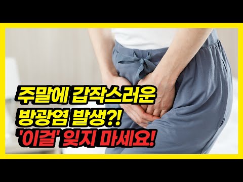 갑작스러운 방광염 증상에 당황스럽다면 '이 대처법' 기억하자!