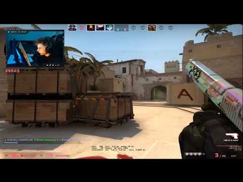 szejn stream highlights